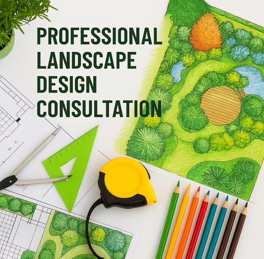 Landscape Design Services